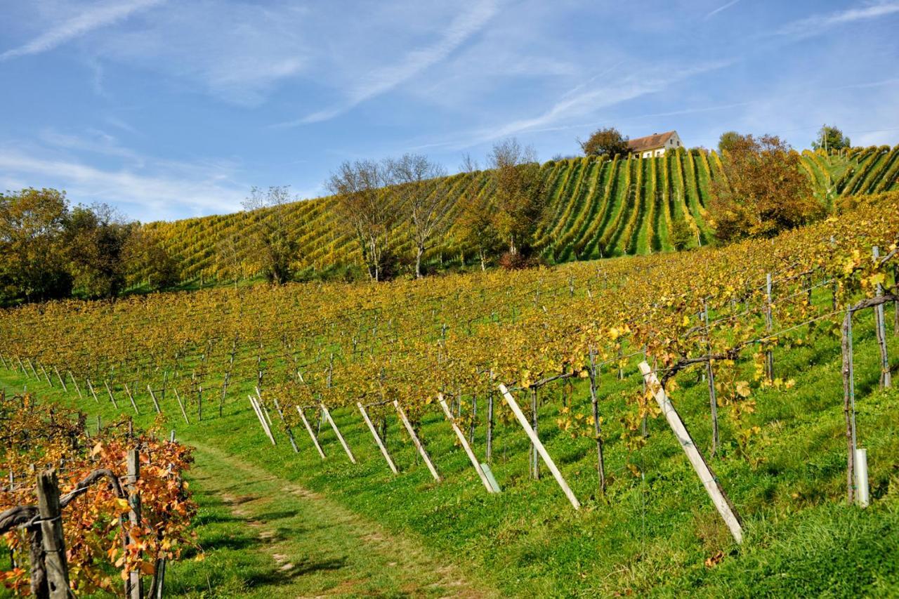 Weingut Zirngast Otel Leutschach Dış mekan fotoğraf