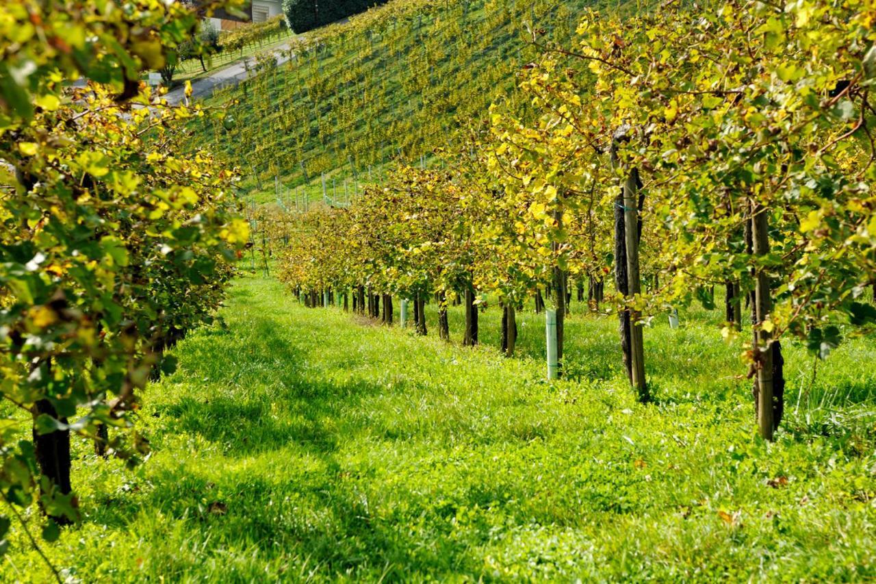 Weingut Zirngast Otel Leutschach Dış mekan fotoğraf